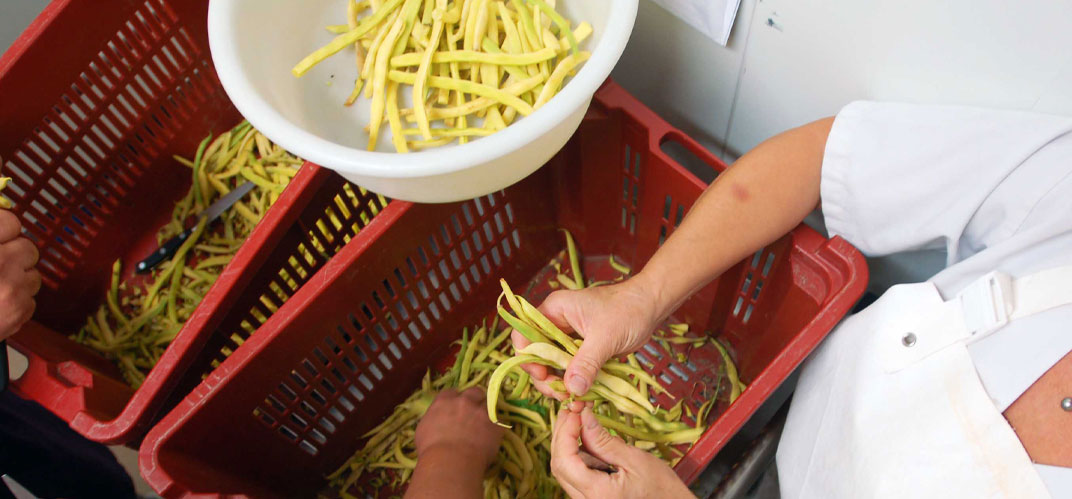 Plan serré sur des agentes de cantine scolaire épluchant des haricots beurre. ©visuel : "Un Plus Bio"