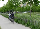 Deux vélos sur une piste cyclable bordée de verdure.