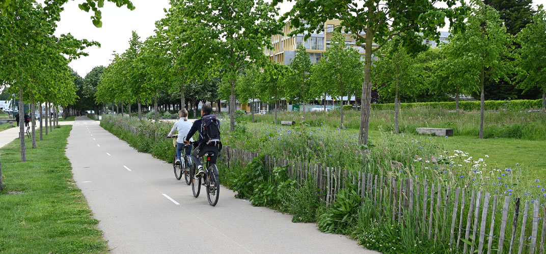 Deux vélos sur une piste cyclable bordée de verdure.